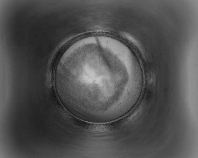 X0000087741310200705291005