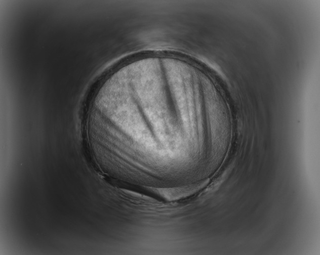 X0000087741311200705291005