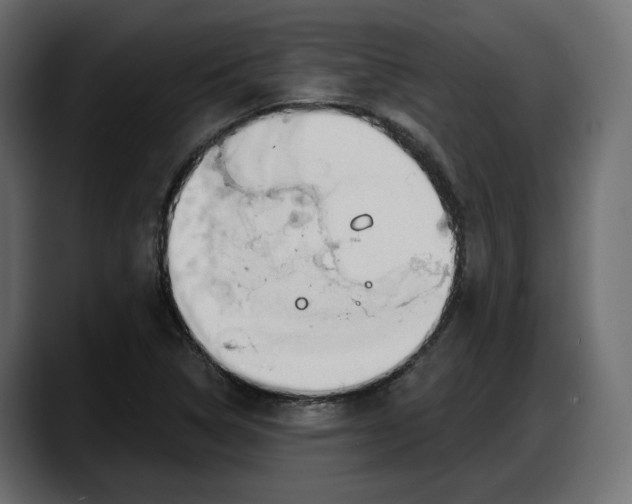 X0000087741314200705291005