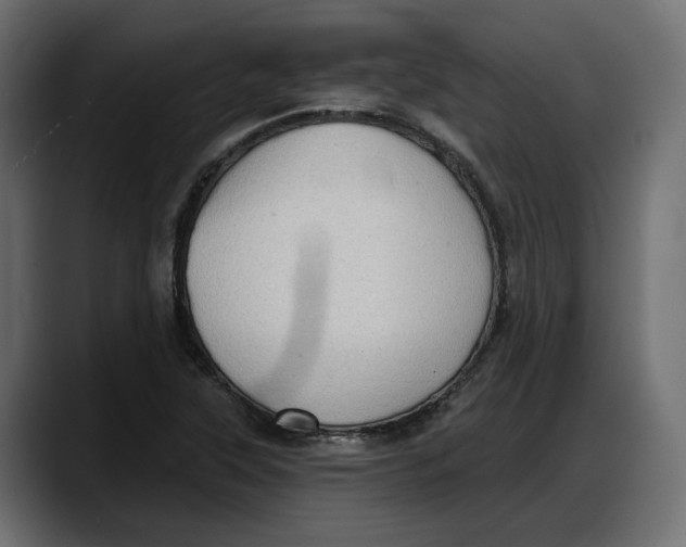 X0000087741315200705291005