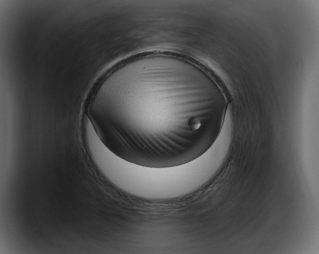 X0000087741316200705291005