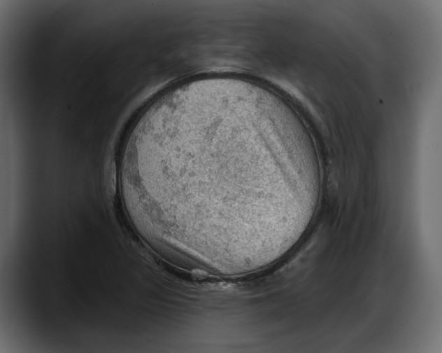 X0000087741317200705291005