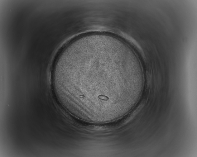 X0000087741318200705291005