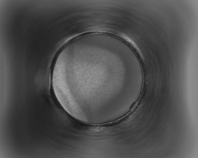 X0000087741323200705291005