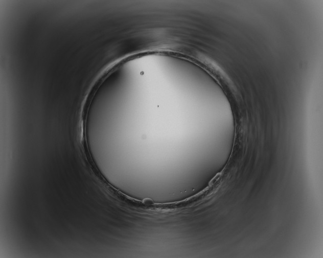 X0000087741324200705291005