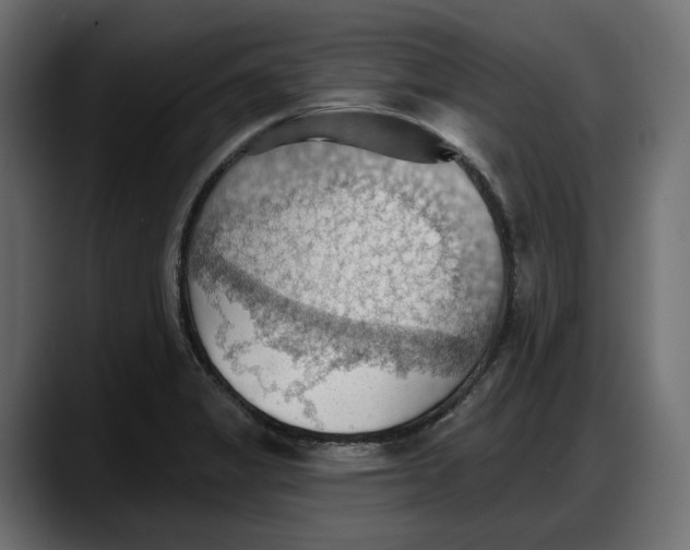 X0000087741325200705291005