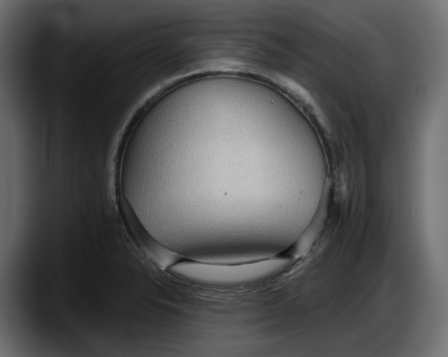 X0000087741326200705291005