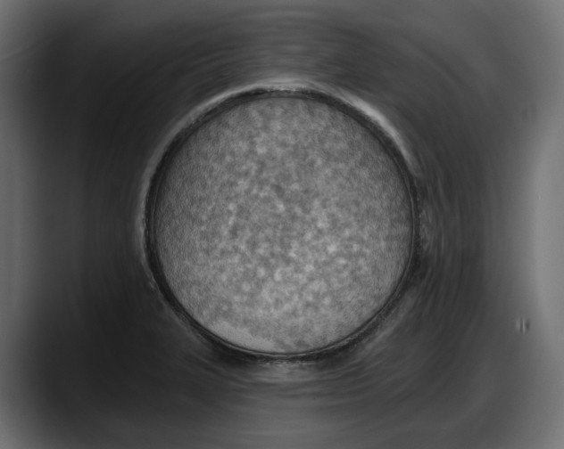 X0000087741327200705291005