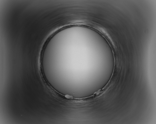 X0000087741328200705291005
