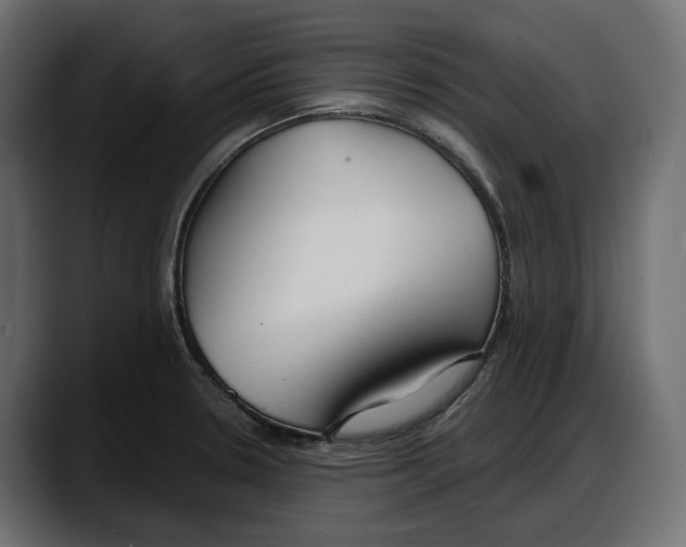 X0000087741330200705291005