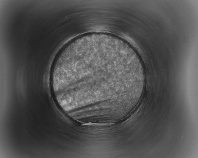 X0000087741331200705291005