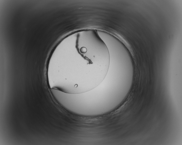 X0000087741332200705291005
