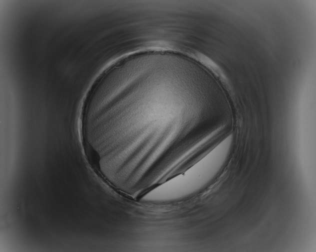 X0000087741334200705291005