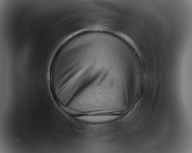 X0000087741335200705291005