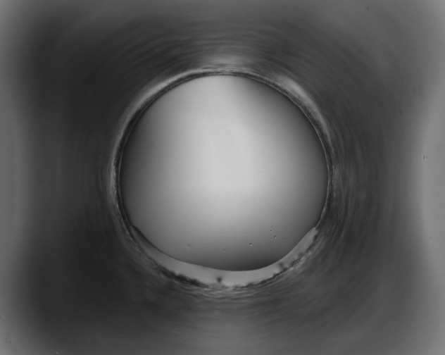 X0000087741336200705291005