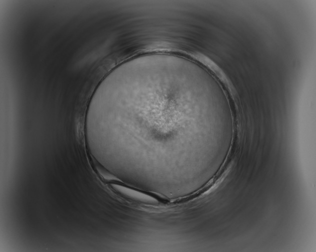 X0000087741337200705291005