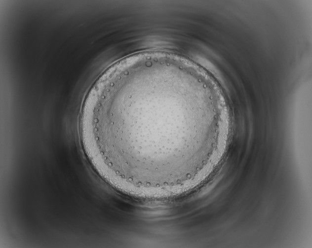 X0000087741338200705291005