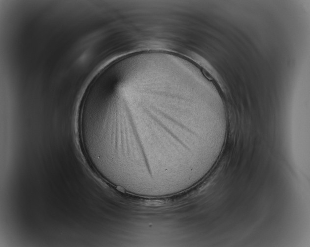 X0000087741339200705291005