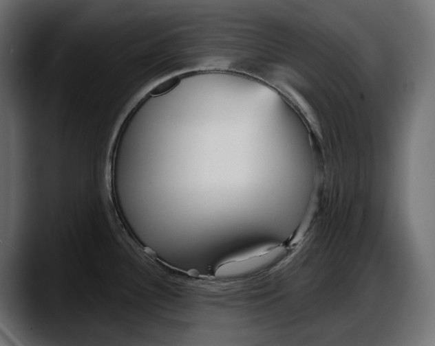 X0000087741340200705291005