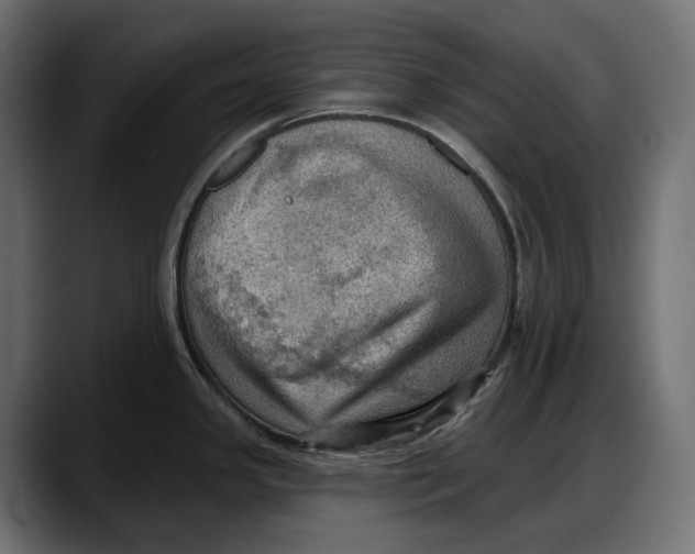 X0000087741341200705291005