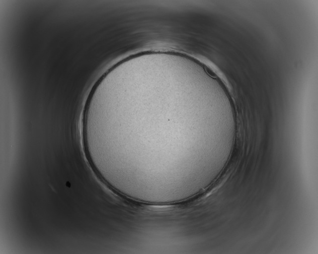 X0000087741343200705291005