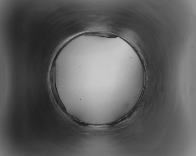 X0000087741344200705291005