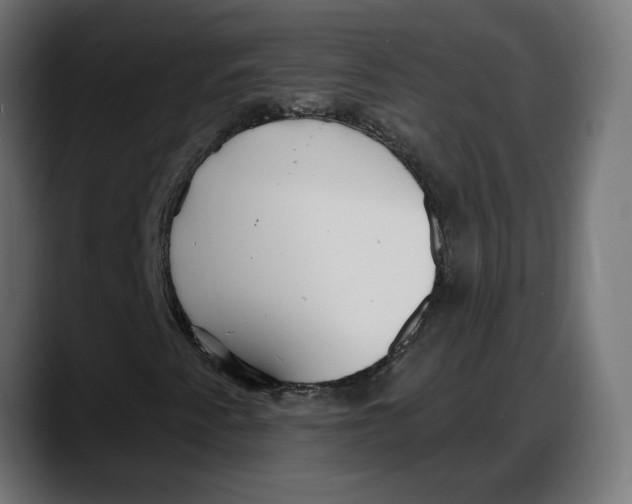 X0000087741345200705291004