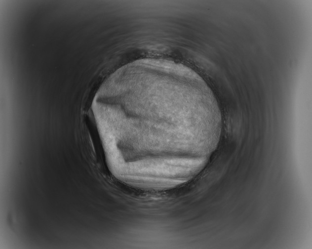 X0000087741346200705291004