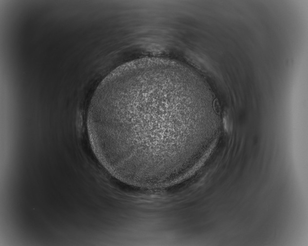 X0000087741347200705291004