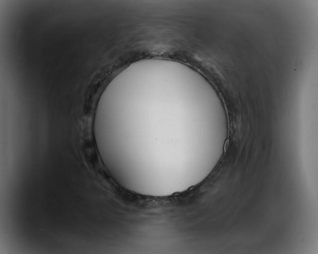 X0000087741349200705291004