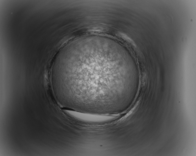 X0000087741353200705291004