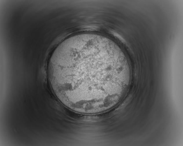 X0000087741354200705291004