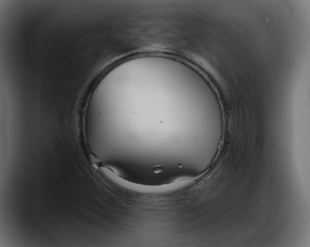 X0000087741356200705291004