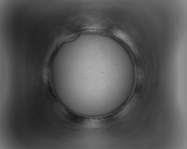 X0000087741357200705291004