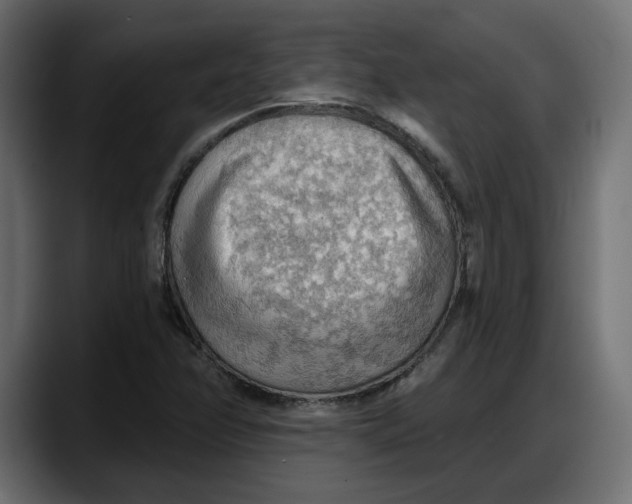 X0000087741358200705291004