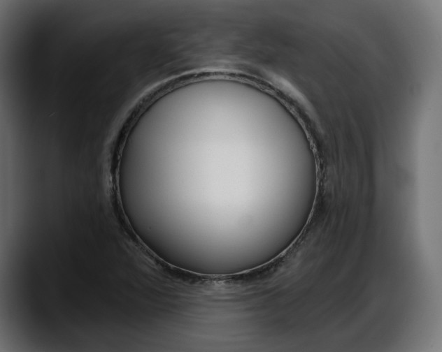 X0000087741360200705291004