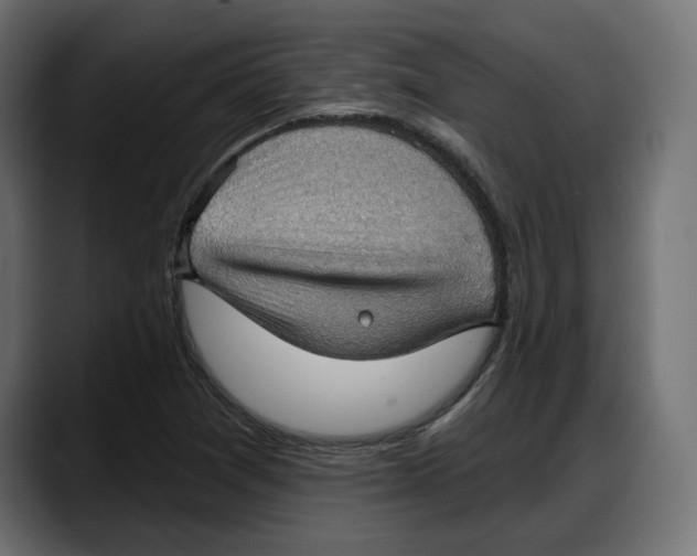 X0000087741361200705291004