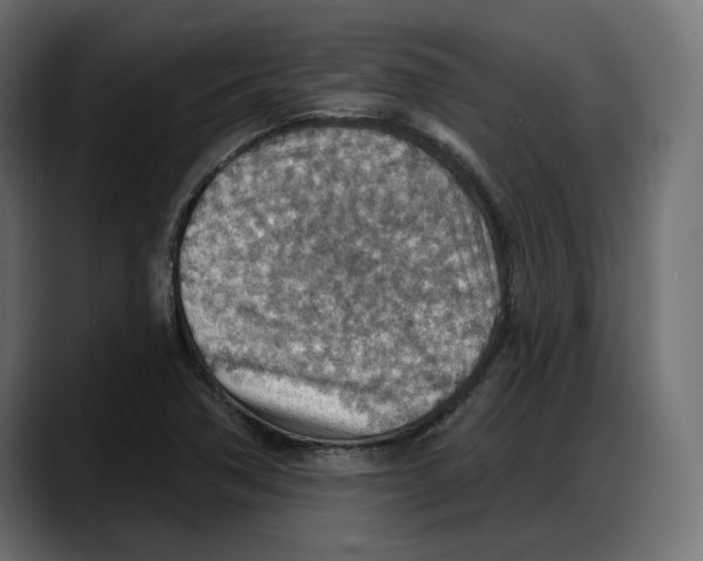 X0000087741362200705291004