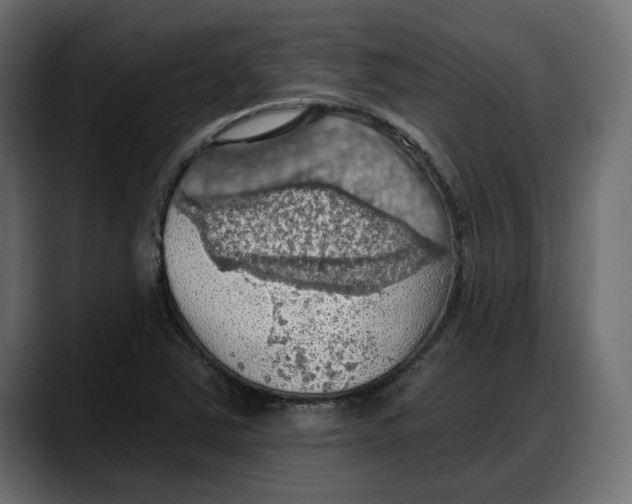 X0000087741363200705291004