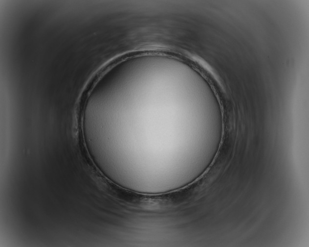 X0000087741364200705291004