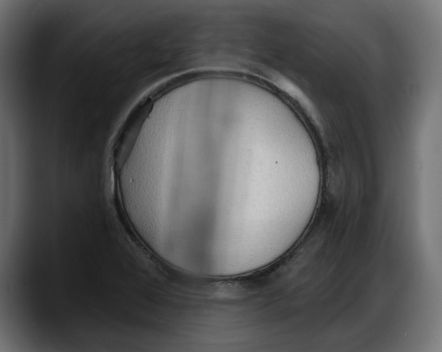 X0000087741368200705291004