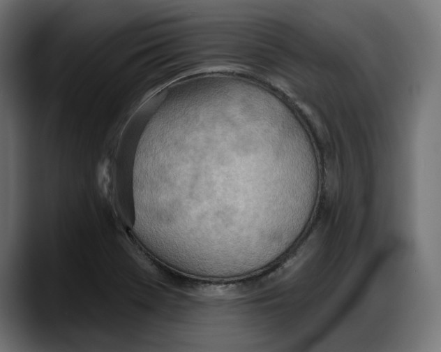 X0000087741369200705291004