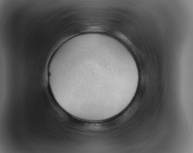 X0000087741370200705291004