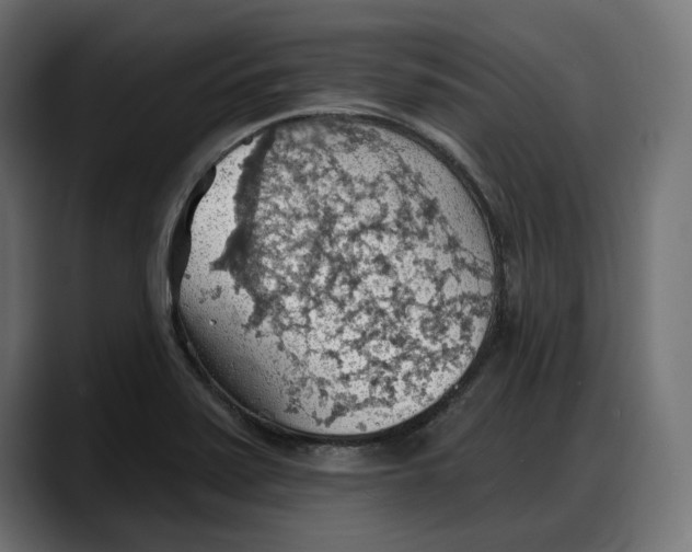 X0000087741371200705291004