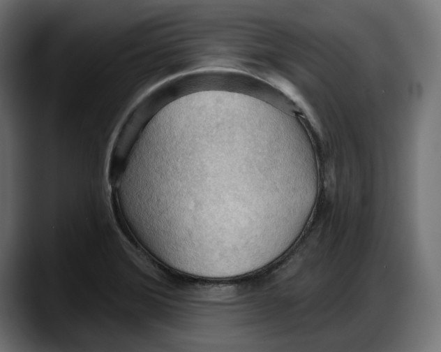 X0000087741372200705291004