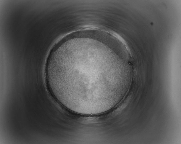 X0000087741373200705291004