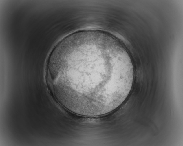X0000087741374200705291004