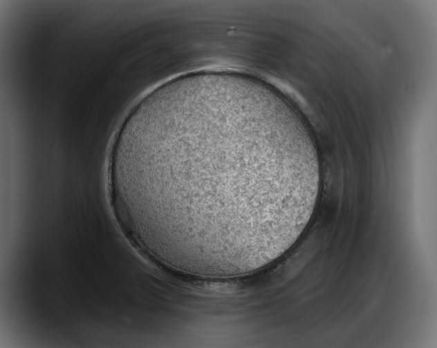 X0000087741375200705291004