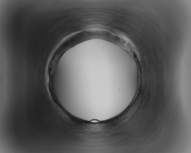 X0000087741376200705291004