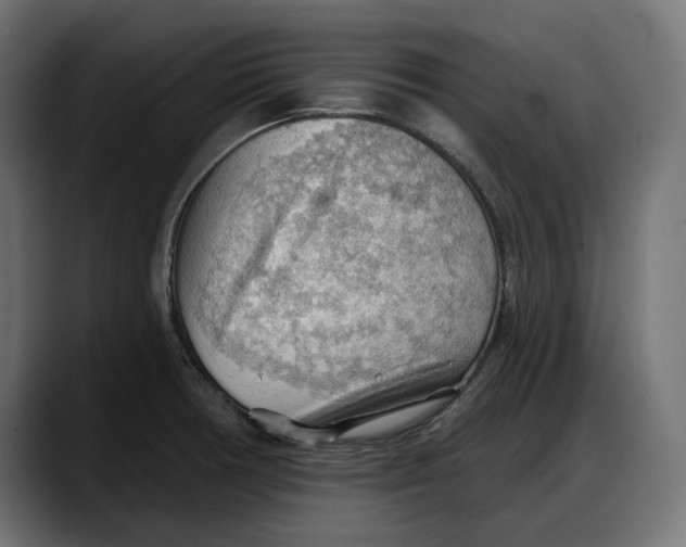 X0000087741378200705291004